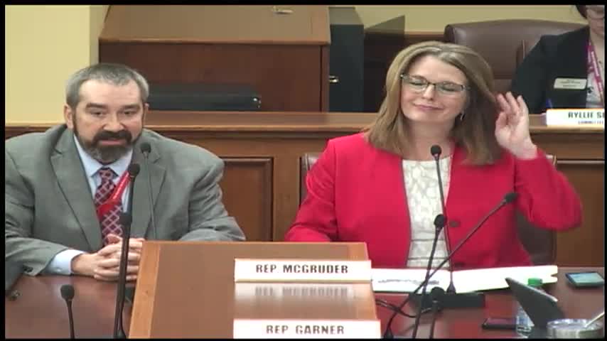 House Education committee rejects bill to allow limited remote 'AMI' days after five closures