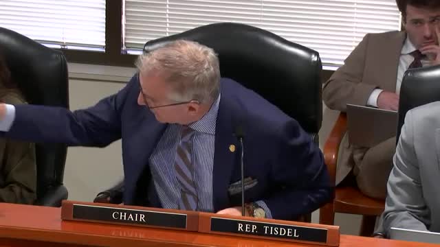 House Finance Committee advances bills to extend sales-tax exemption for firearm safe-storage items