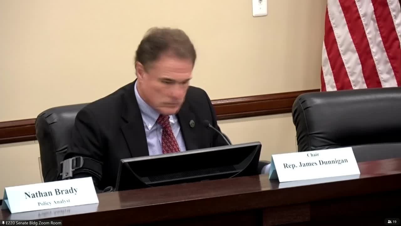 Committee advances substitute to let state auditor update local government financial certification