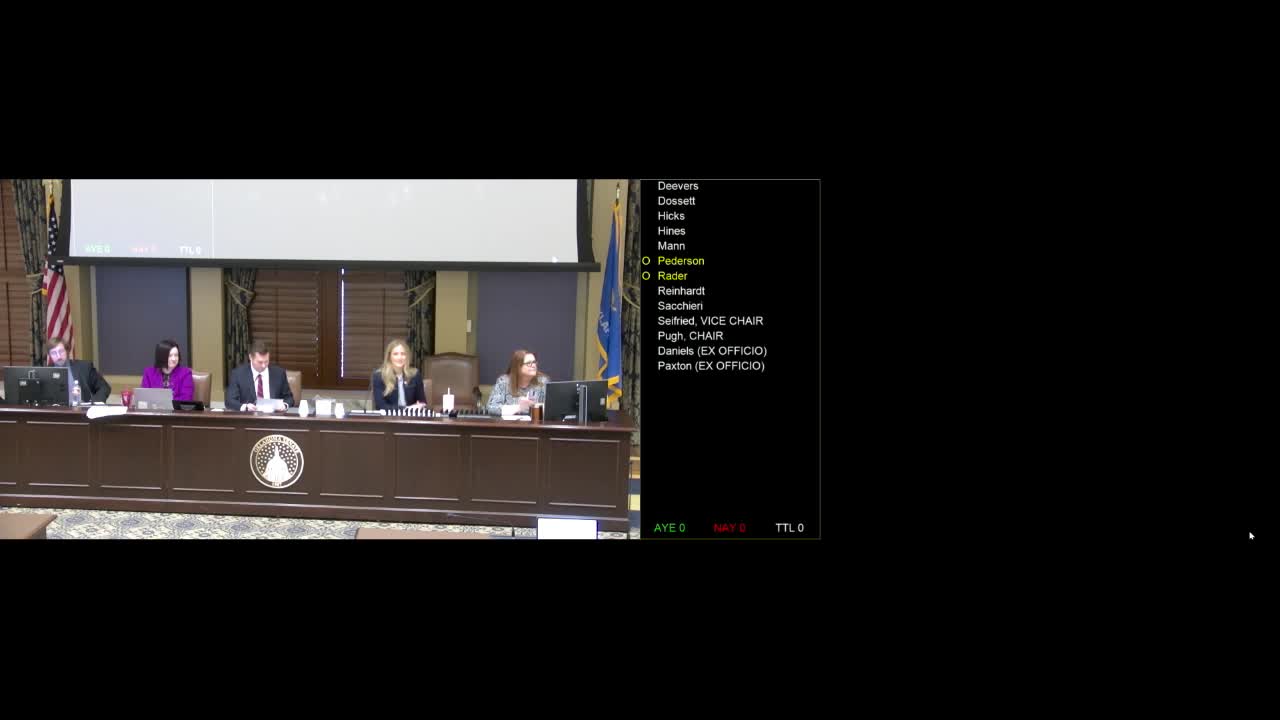 Senate Education Committee advances suite of education bills; computer science graduation requirement, volunteer background checks, teacher pipeline measures OK