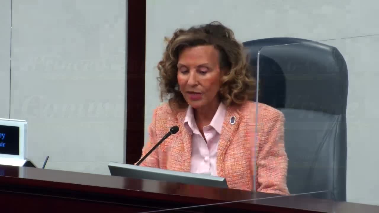 County Council discusses fiscal year 26 budget with proposed $28.9 million plan