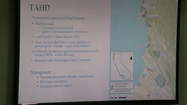Wildlife officials manage TAD outbreak in elk population near Crescent City
