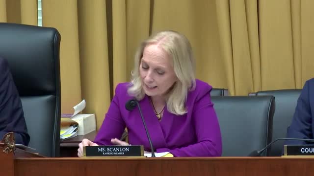 Lawmakers oppose birthright citizenship repeal arguing against extremist interpretation