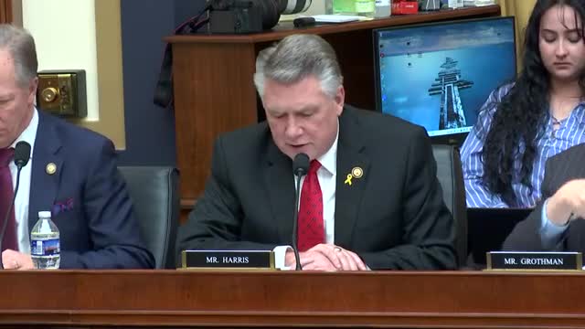 Congress reviews birth tourism's national security risks and maternal health concerns
