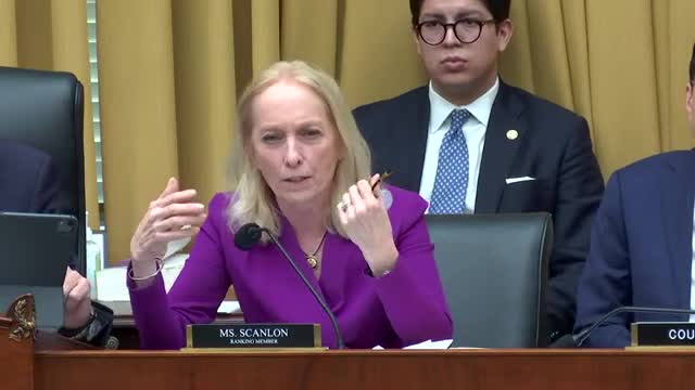 Senate discusses immigration and birthright citizenship implications for newborns