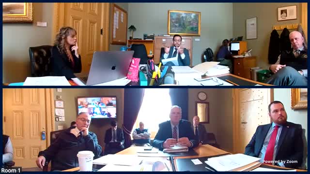 Senate panel reviews firearm regulations near childcare centers amidst safety concerns