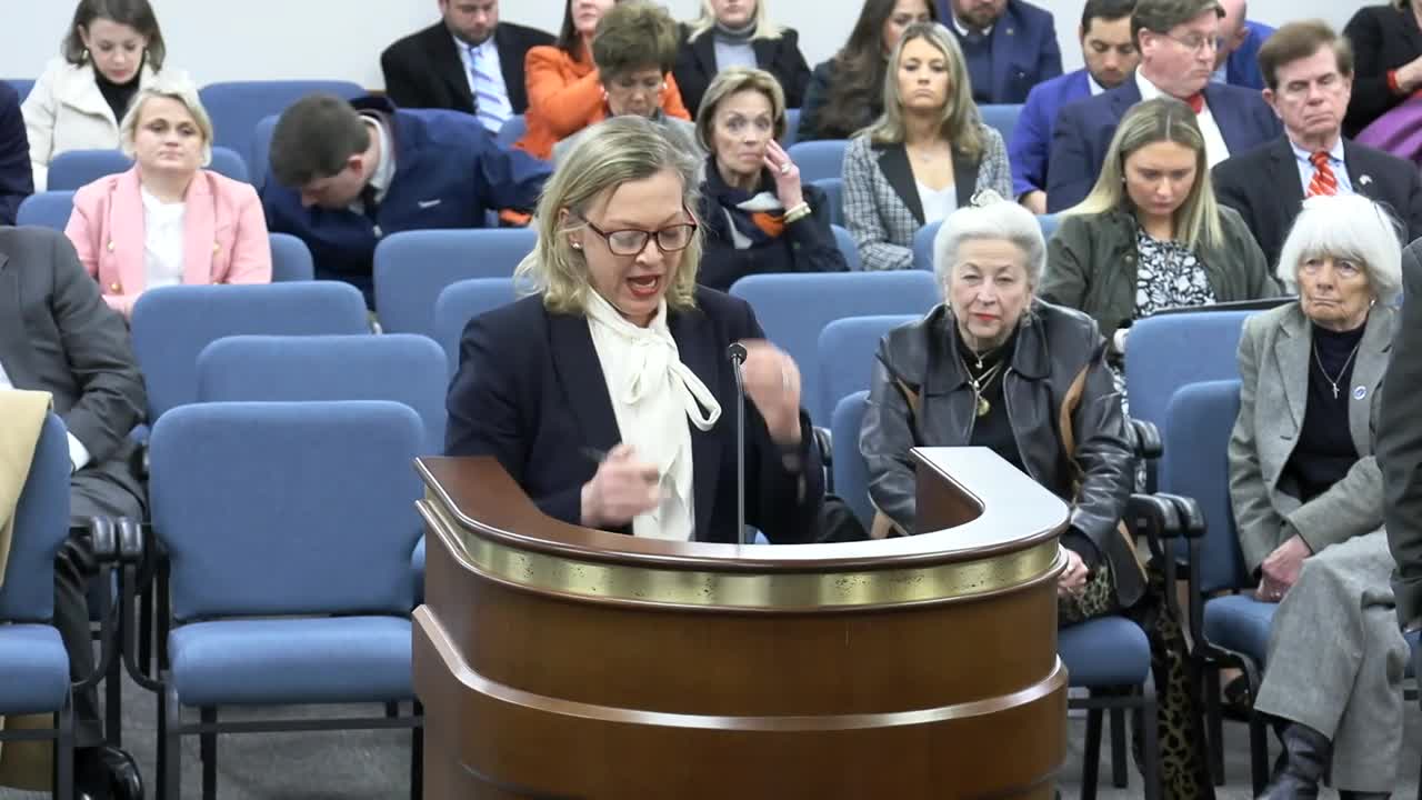 South Carolina committee debates seat belt law's impact on civil negligence cases