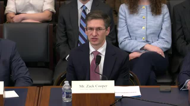 Committee discusses funding strategies to counter Chinese influence on civil society