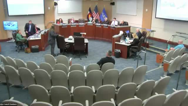 Interim civil service administrator walks council through hiring process, timelines and current recruitment tools