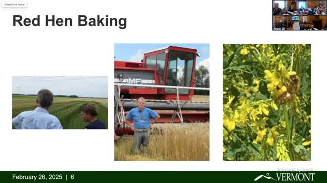 Vermont farmers explore local grain processing solutions after mill closure