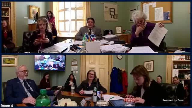 Vermont senators hear requests to narrow hybrid-meeting rules, add site‑visit and cybersecurity exemptions