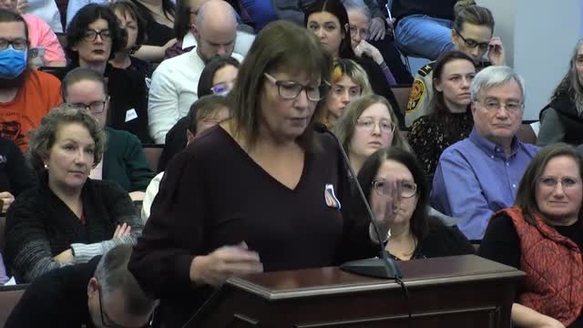 Warren County residents propose library board referendum for community input