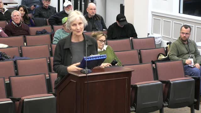 Melanie Salins challenges Front Royal's comprehensive plan citing rushed public review process