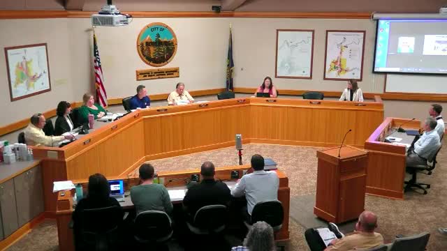City Council debates fee structures to support downtown businesses and financial recovery