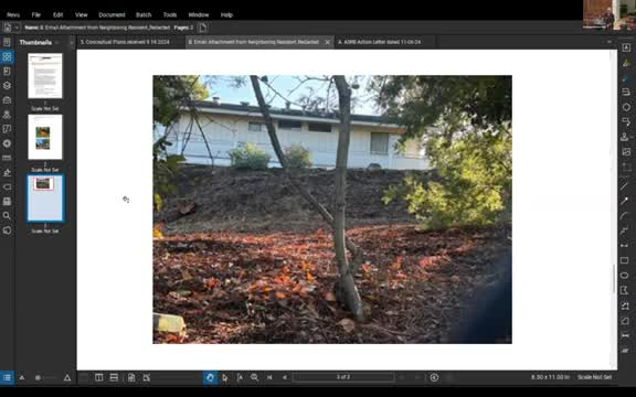 San Francisco confirms tree removal permits for flammable eucalyptus trees