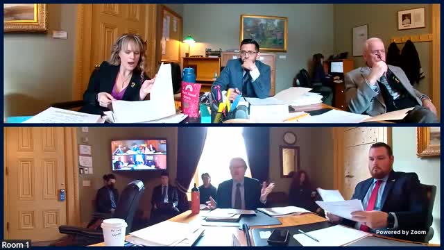 State legislators debate raising delinquency age threshold from 10 to 12