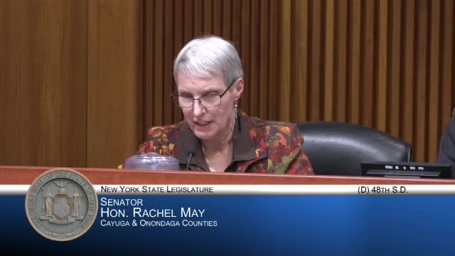 Assemblywoman Lee questions oversight of Knickerbocker Village's $50M renovation project
