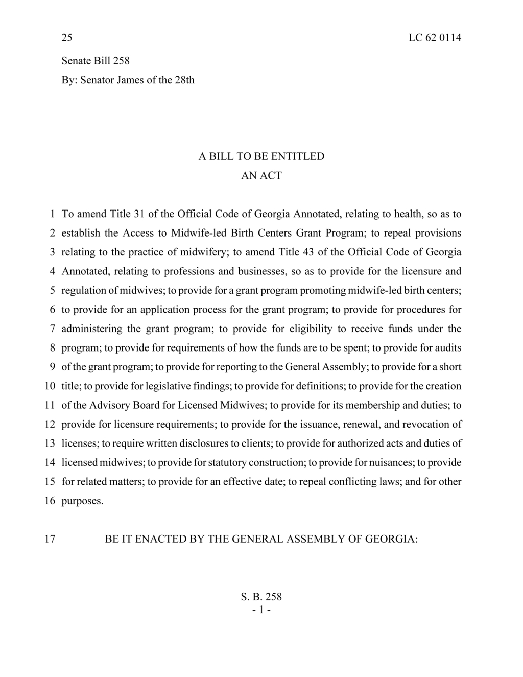 Georgia advisory board sets midwifery licensing requirements for applicants