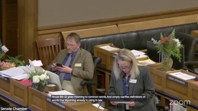 Wyoming legislators define male and female in new judicial branch bill