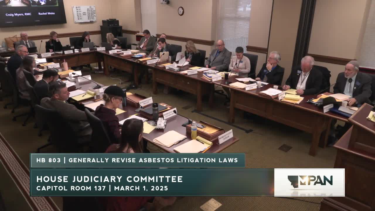 Committee hears 'Donna's Law' proposal to let people voluntarily block firearm purchases during mental-health crises