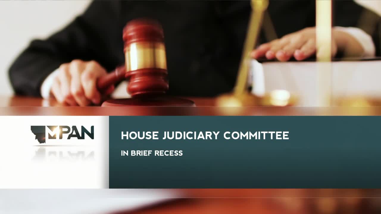 Committee hears bills to extend malpractice and insurance coverage windows for minors harmed by gender-transition care