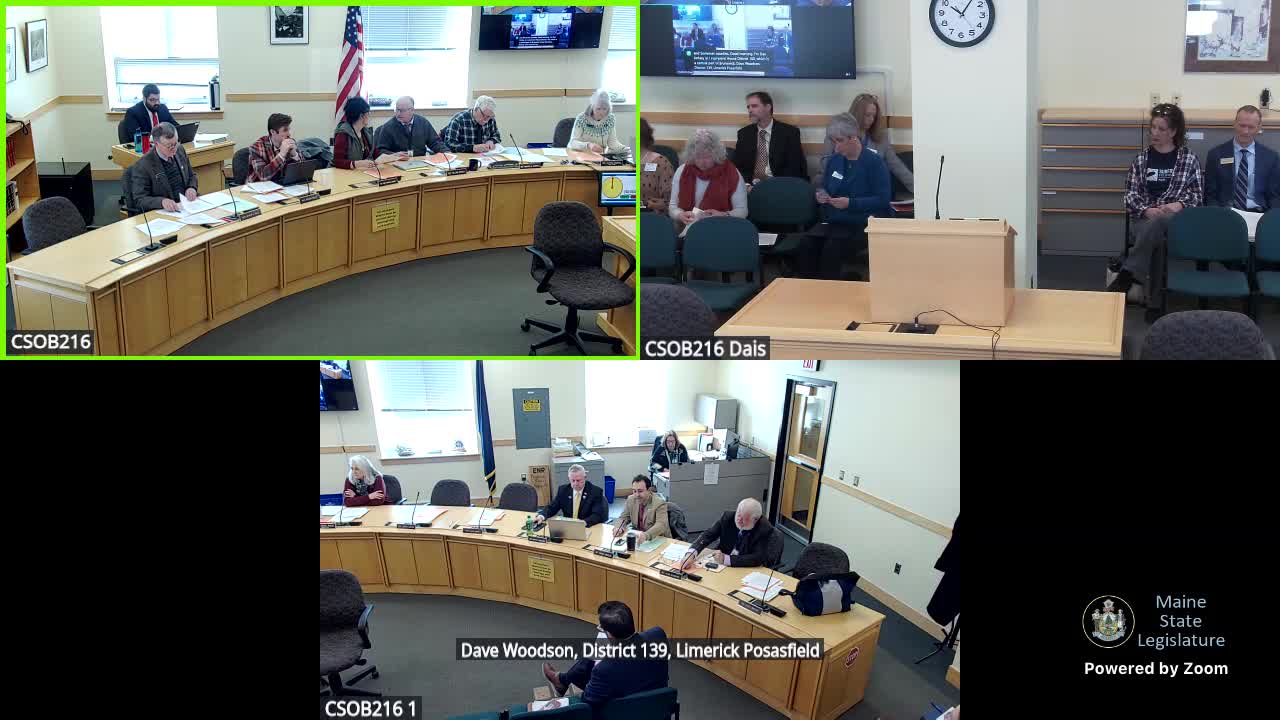 Committee hears bill to ban sale of polystyrene packing peanuts