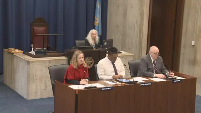 Boston Council discusses preserving historic items and cultural heritage at public library