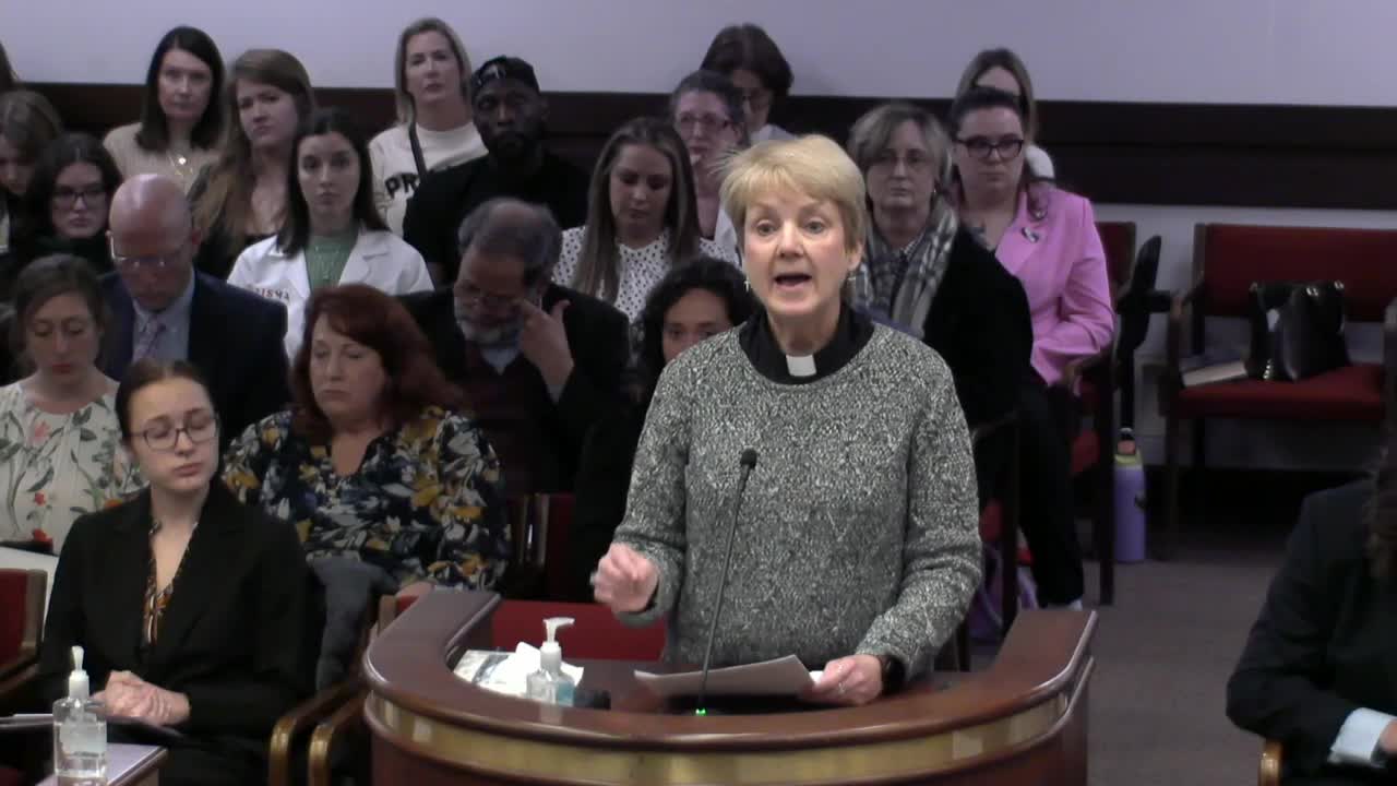 South Carolina residents oppose HB 3457 total abortion ban at legislative hearing