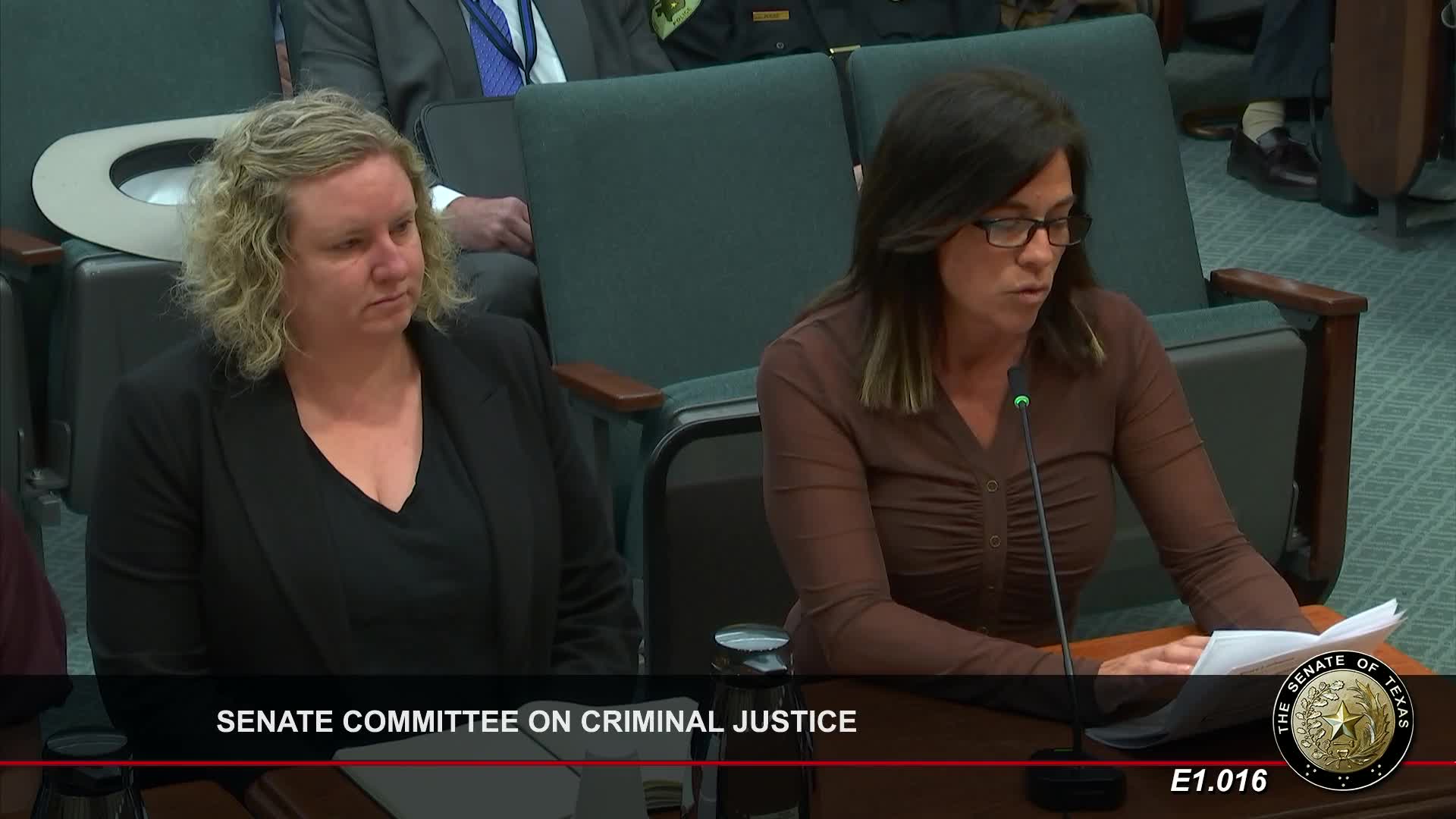 Texas committee debates Senate Bill 4 12 to curb distribution of obscene material to minors