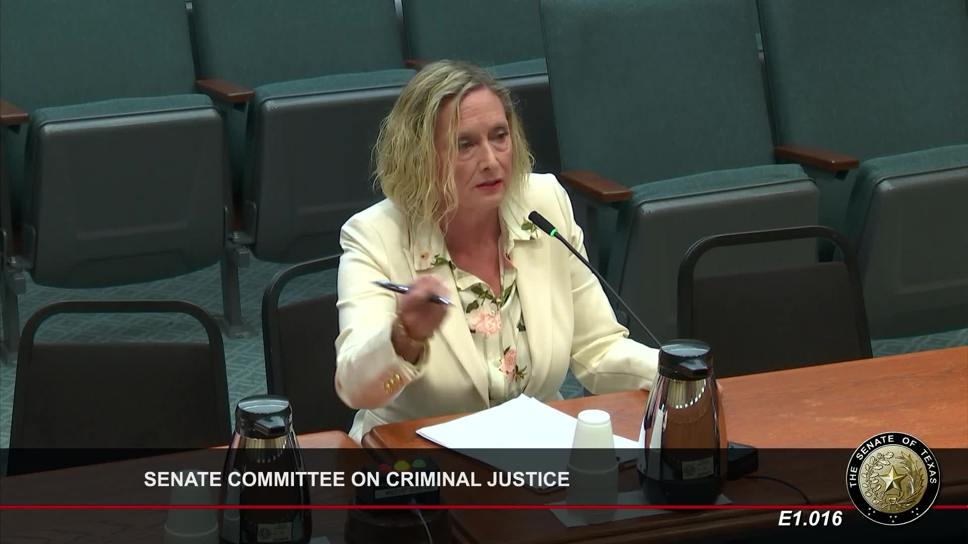 Senate Committee Advances Multiple Bills to Protect Children