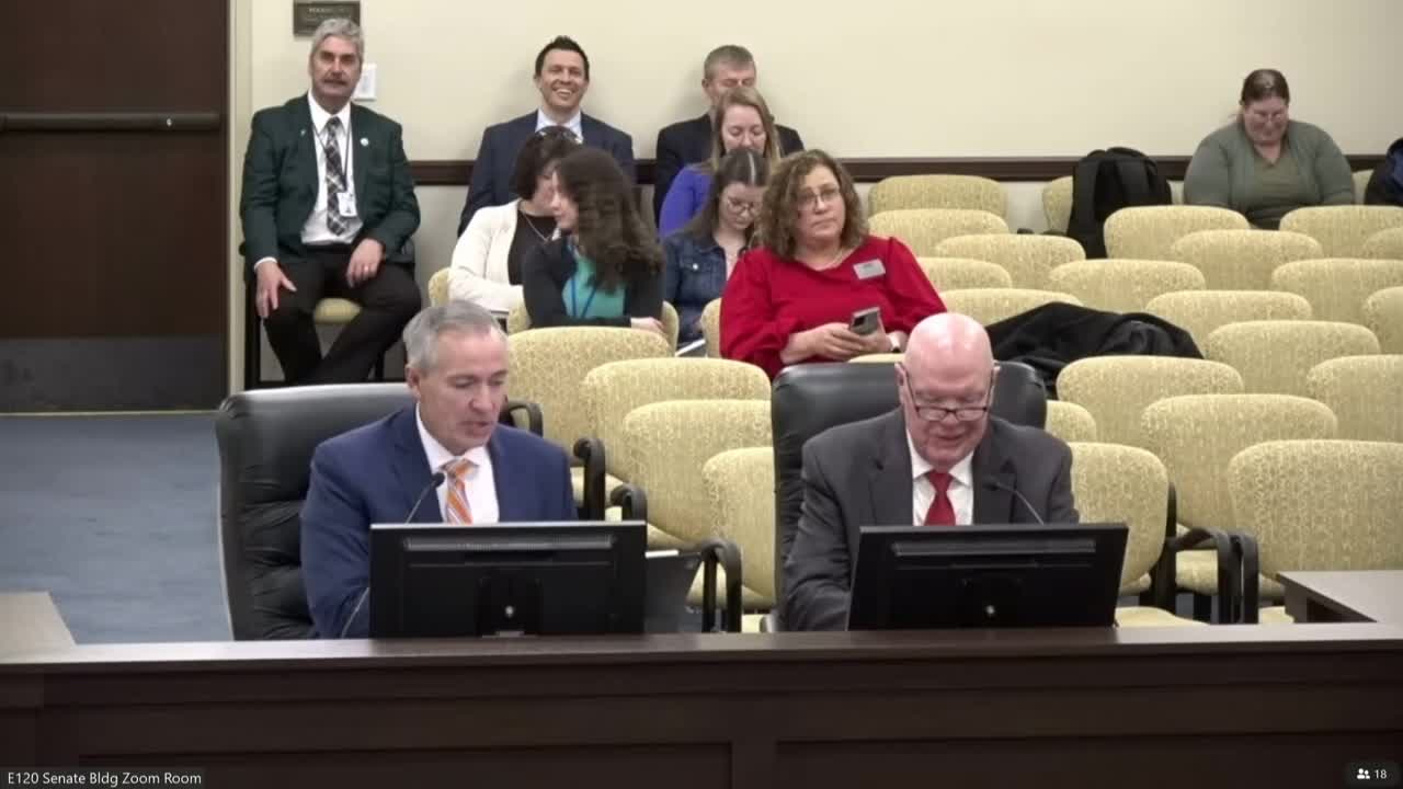 Senator Stevenson presents SB 308 to enhance Utah's dual language immersion program
