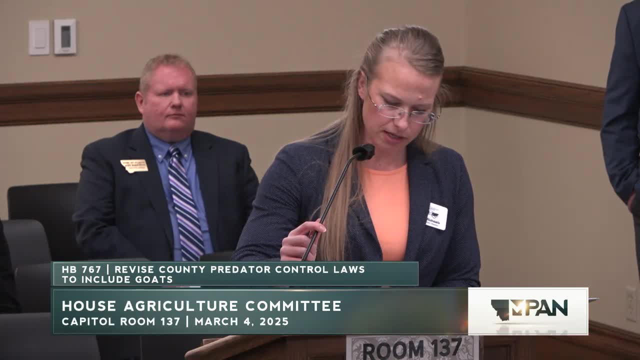 Montana faces $2M annual lamb losses due to coyote predation