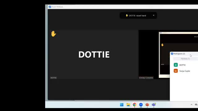 Public comments highlight issues with Brace Road widening project