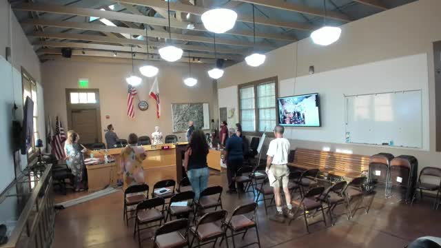 Vice Chair Kelly leads planning commission meeting addressing public concerns on development