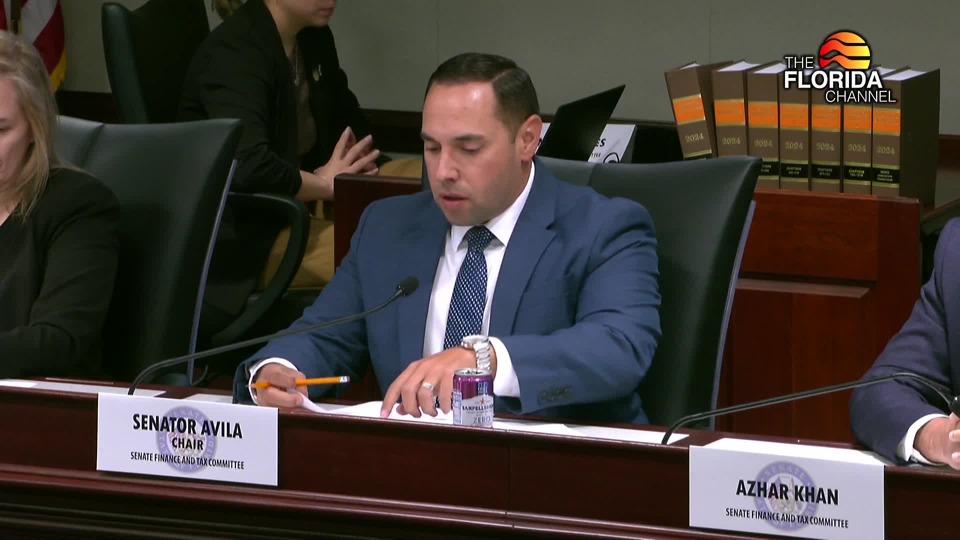 Finance and Tax Committee hears statewide overview of property taxes as members weigh proposals to replace revenue