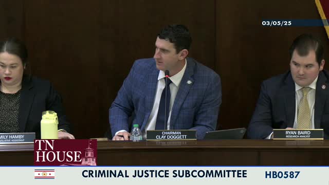 General Assembly proposes RICO Act expansion to target organized retail crime and carjacking