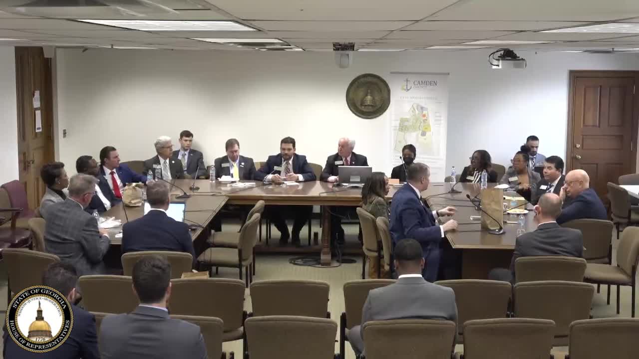 Economic benefits of girls sports highlighted in Kingsland development discussion