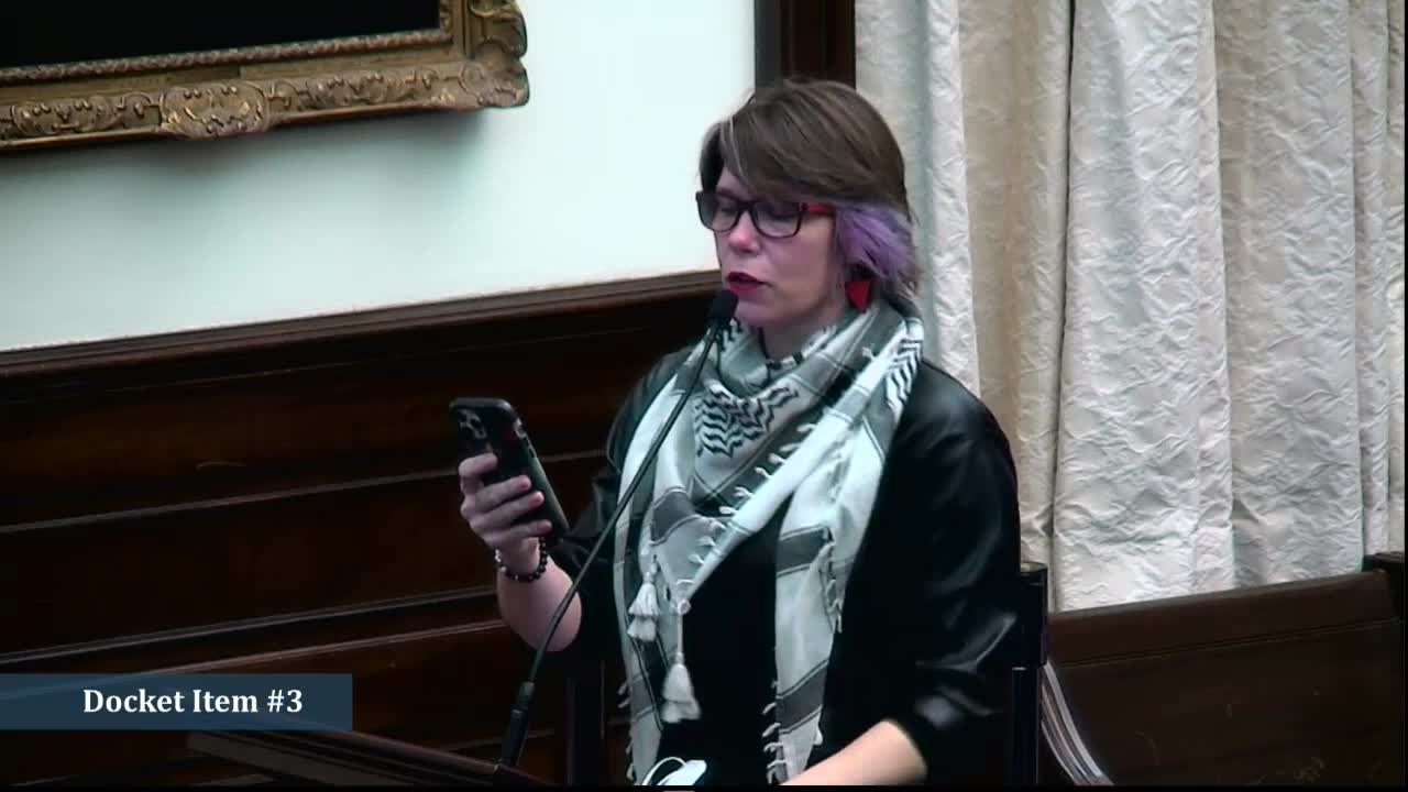 Community member urges Alexandria council to modernize city pool access system