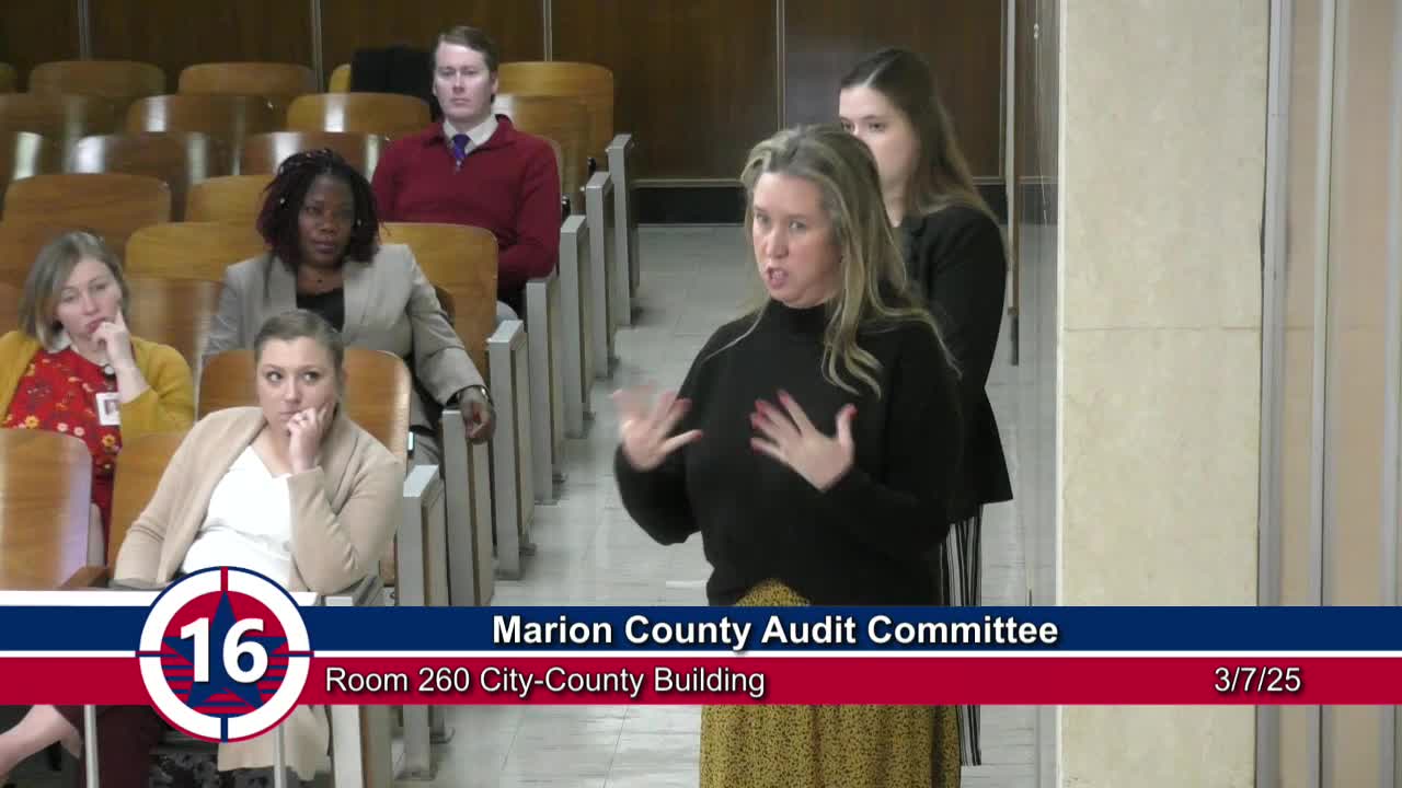 Council reviews audit procedures addressing COVID-19 funding and fraud risks