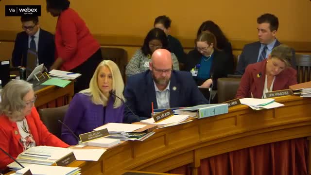 Senator Erickson proposes $750K dental school study funding during committee meeting