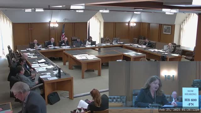 Proponents of New Hampshire's HB 600 advocate ranked choice voting for local elections