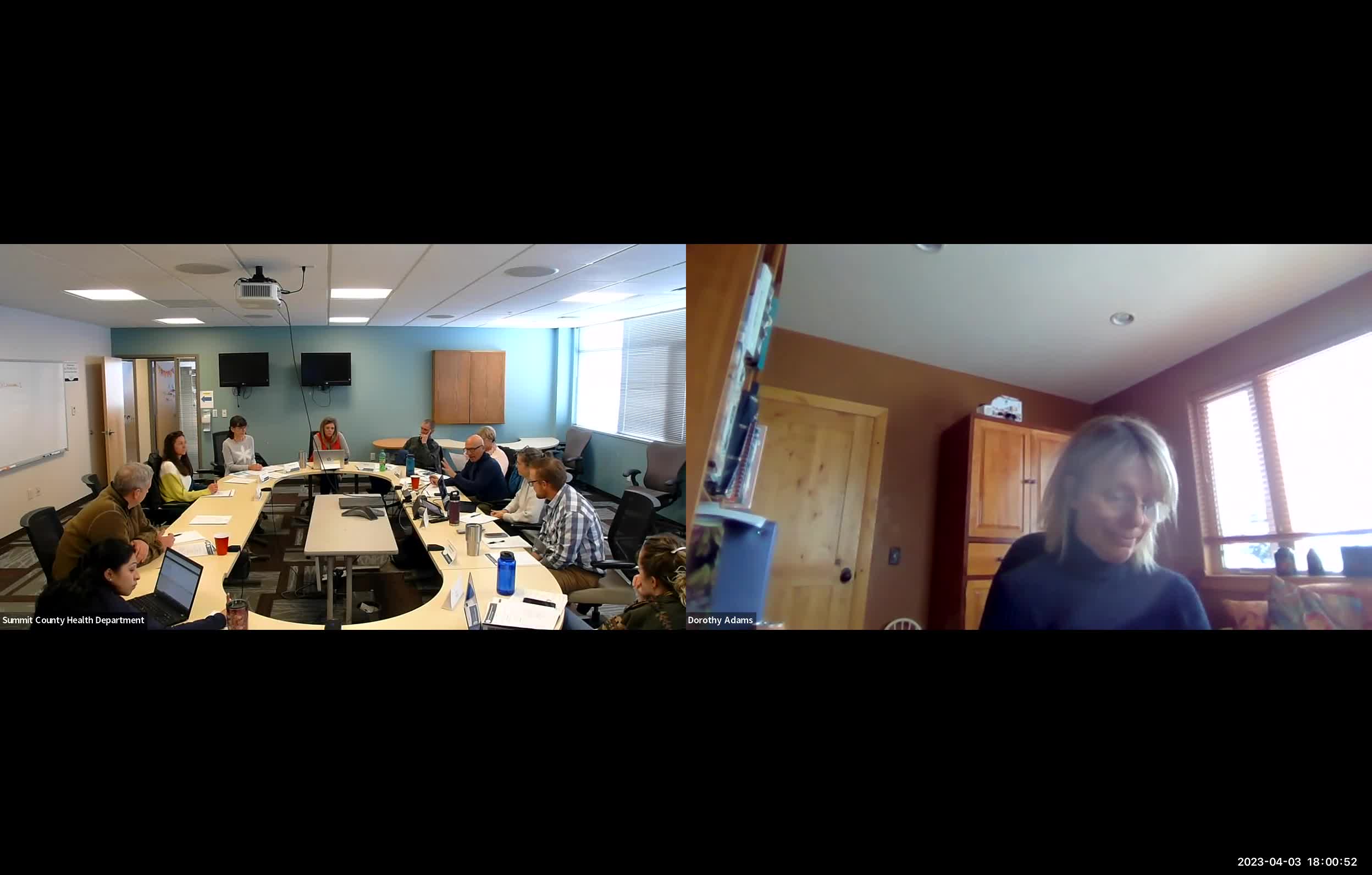 Board supports proclamation for annual Parkinson's Awareness Month in Summit County