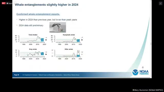 Whale entanglement reports rise slightly in 2024 affecting Dungeness crab fishery