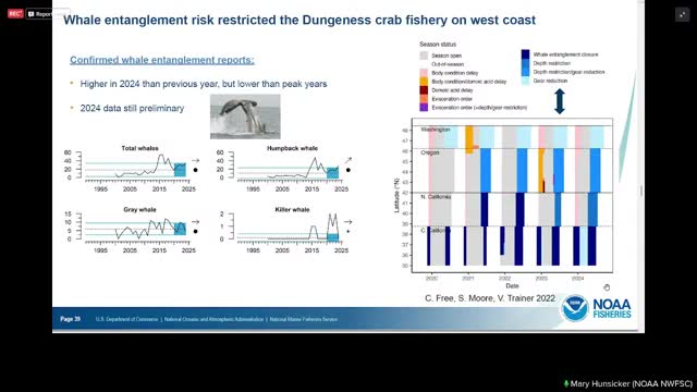 Fishing industry faces closures and revenue shifts due to entanglements and low landings