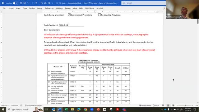 Energy code TAG advances induction-cooktop credit, greenlights new envelope and load measures; several major proposals postponed