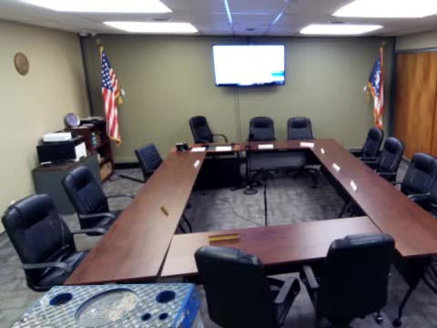 Panel identifies 2015 council minutes amid archival discrepancies