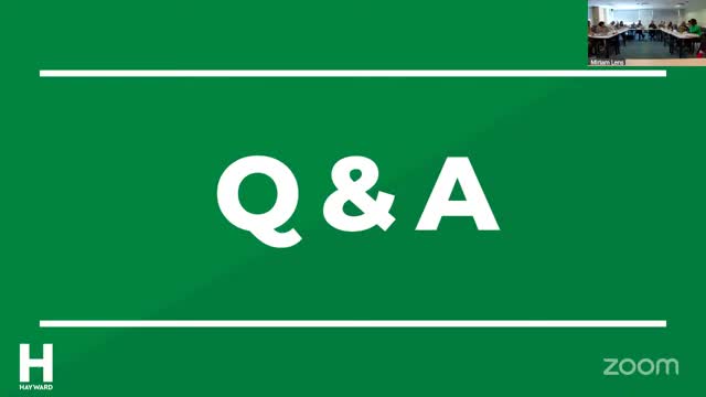 Development services reports enforcement counts; council presses for clearer approach to street vendors