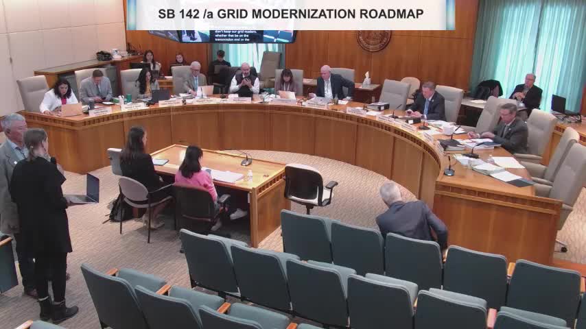 PRC discusses flexibility amid concerns over grid modernization costs for ratepayers