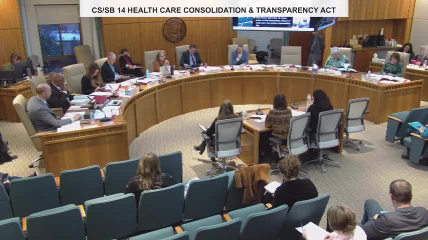 Senator de Wahegan questions constitutional authority of insurance regulation during committee meeting