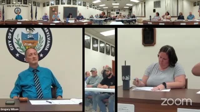 City Council discusses noise ordinances amid concert planning near downtown airport